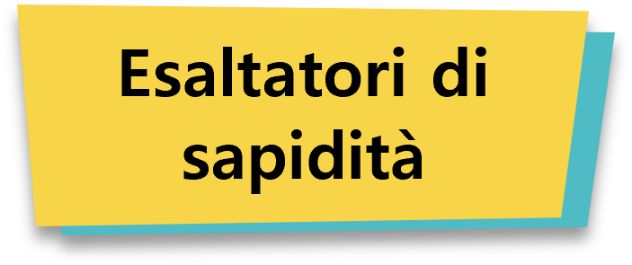 Esaltatori di sapidità