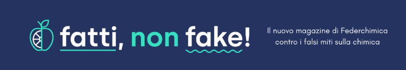 Logo Fatti Non Fake
